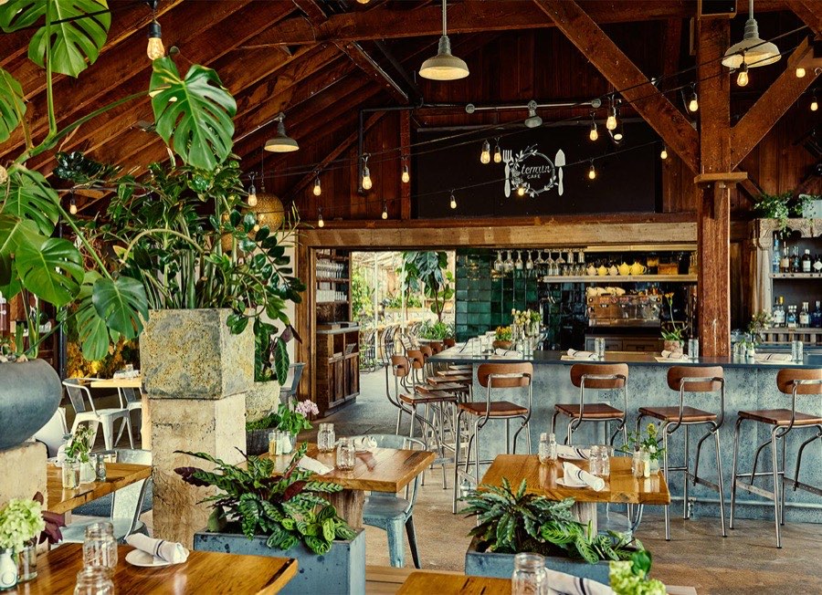 A Boulder cafe where students study